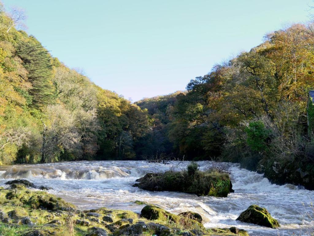 Roseberry House Bed & Breakfast Newcastle Emlyn Ngoại thất bức ảnh