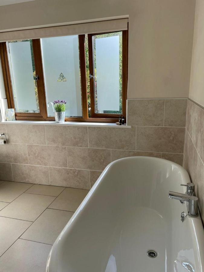 Roseberry House Bed & Breakfast Newcastle Emlyn Ngoại thất bức ảnh